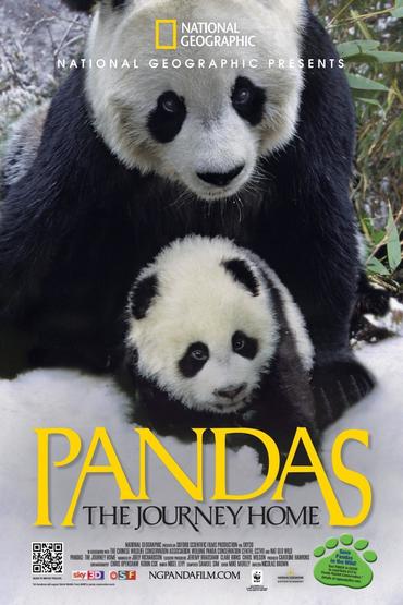 دانلود فیلم خارجی Pandas: The Journey Home 2014